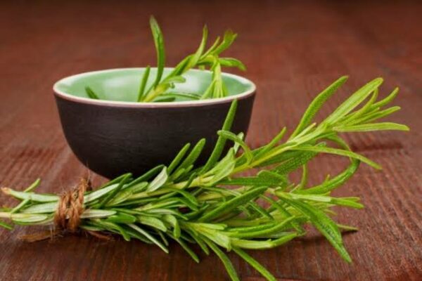 Hierbabuena y romero: El dúo botánico que se posiciona como aliado de la salud articular