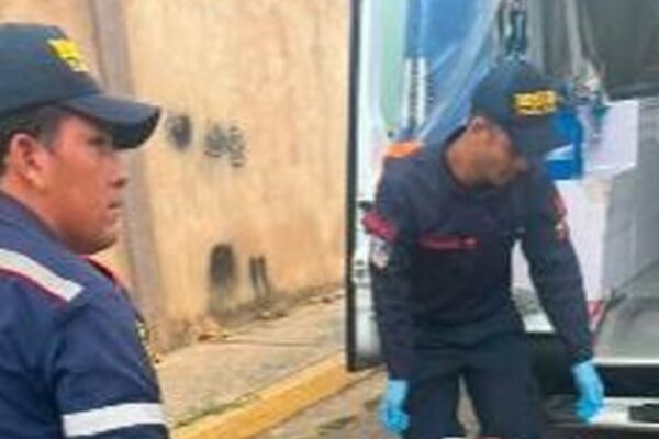 Ataque de abejas africanas en Maracaibo deja seis heridos