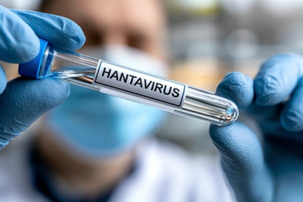 Chile declara alerta sanitaria nacional por hantavirus y múltiples amenazas