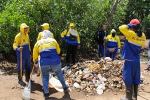 IMA retira más de 90 toneladas de desechos del manglar Tierra de los Sueños 