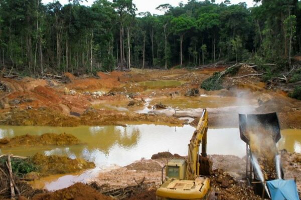 Gold Reserve regresa a Venezuela para explotar oro y reclamar mil 260 millones de dólares al Estado