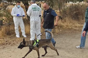 Cuatro detenidos en Madrid por el homicidio de una octogenaria